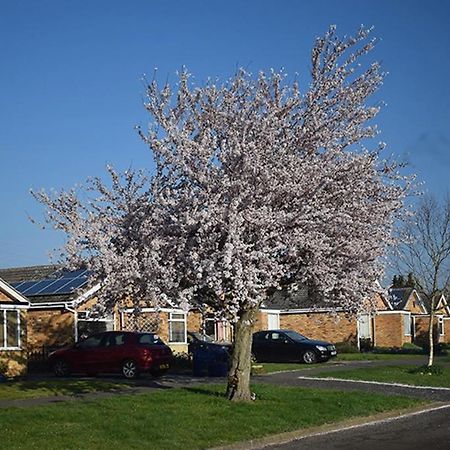 Bed and Breakfast Wings Oakham Exterior foto